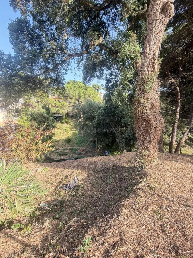 TERRENO EN VENTA EN CAN MASSUET DEL FAR (DOSRIUS) - foto 5