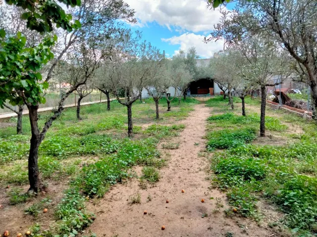 SE VENDE CHALET EN HONDON DE LOS FRAILES — 29