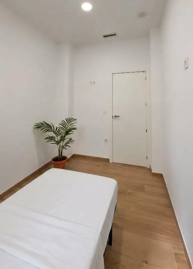 ¡OPORTUNIDAD ÚNICA: PLANTA BAJA REFORMADA Y SEMIAMUEBLADA, TODO EXTERIOR EN ZONA POETA MIGUEL HERNÁNDEZ! — 11