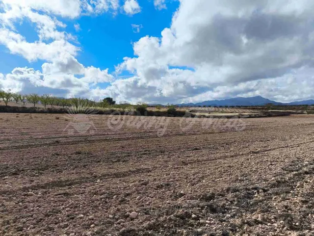Suelo rústico en Venta en Jumilla Murcia — 9