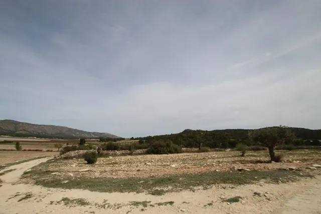 Villa 1 habitación 115m² en venta - Comunidad valenciana — 14