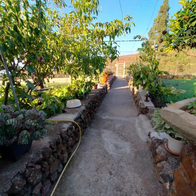 Casa Rustica La Escalona — 7