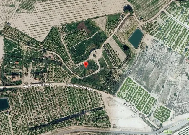 Terreno rústico agrario de regadío de 2.538 m2 en Alguazas - foto 2