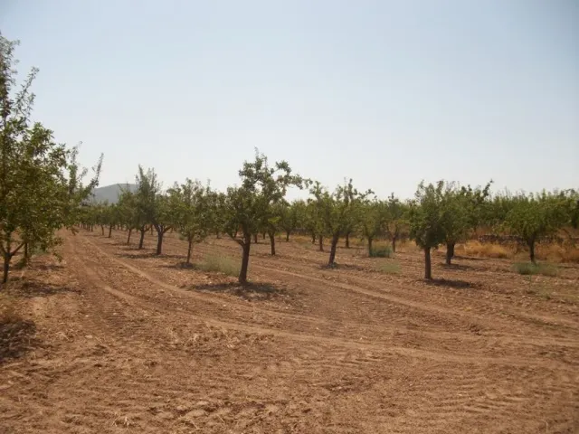 PARCELA CON AGUA — 6