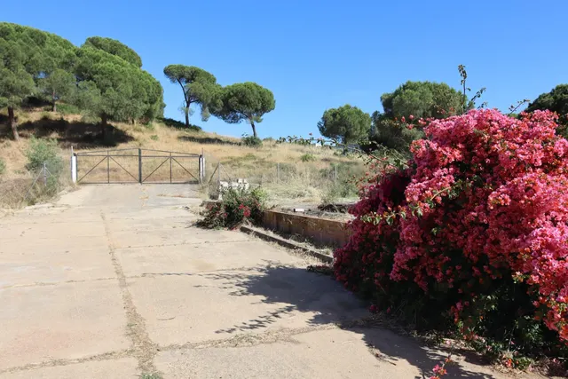 Tradicional casa de campo con amplio terreno y piscina en El - foto 5