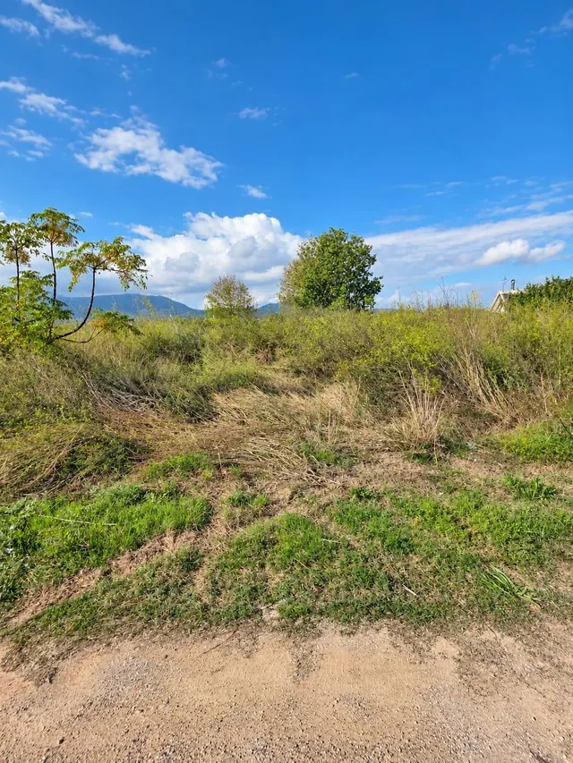 Finca rústica de 6.705 m2 en la zona de els ullals de baltasar, Amposta — 21