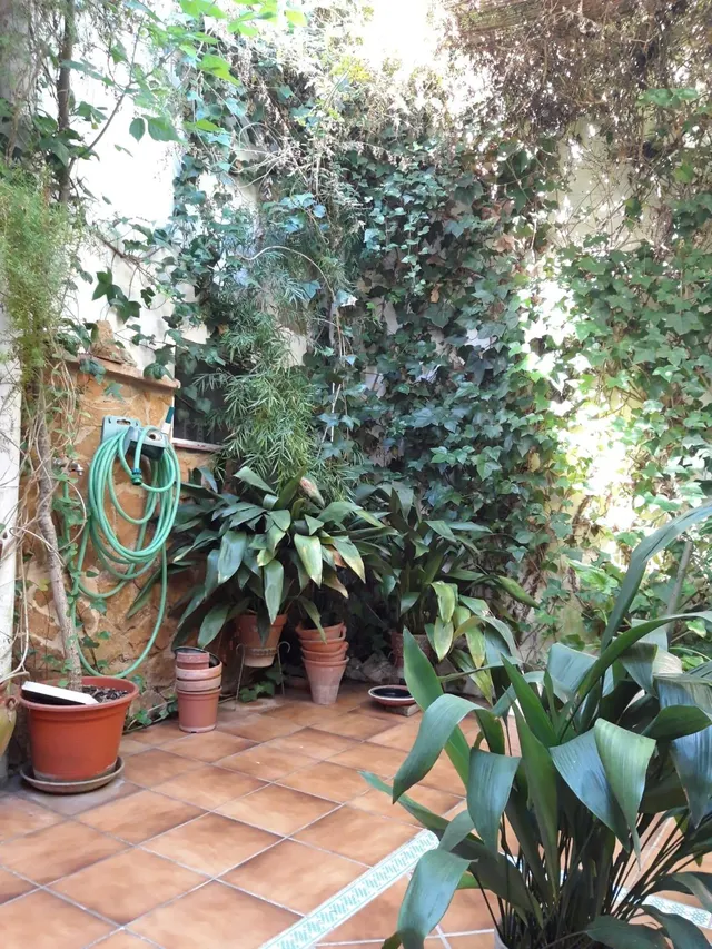 Casa independiente singular en san pedro, Córdoba! — 7