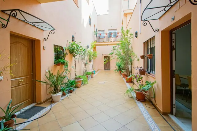 Precioso apartamento junto Calle Feria!!! — 16