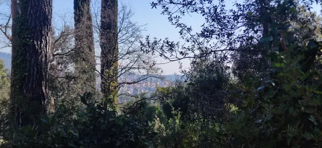 TERRENO EN VENTA, EN SANT FELIU DEL RACÓ — 2