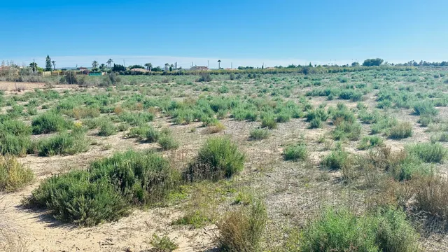 Terreno de 12.000 m2 en Perleta. — 23