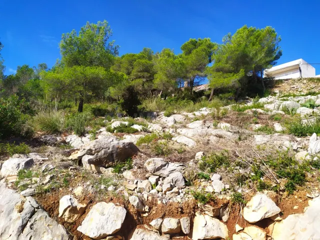 TERRENO EN LA COGULLADA (CANYELLES) — 4