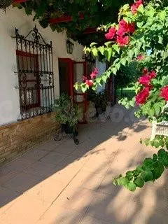 MARAVILLOSA ANTIGUA FINCA DE CACERIA EN LA JARA EN SANLUCAR  - foto 3