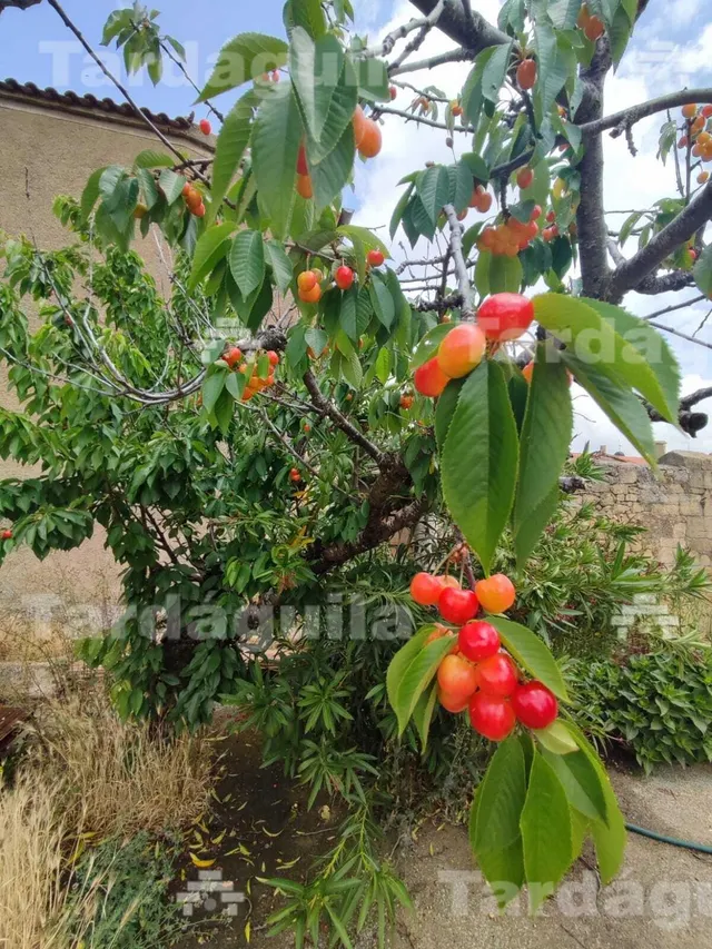 PRECIOSA Y AMPLIA CASA DE PIEDRA EN SAN MUÑOZ. — 47