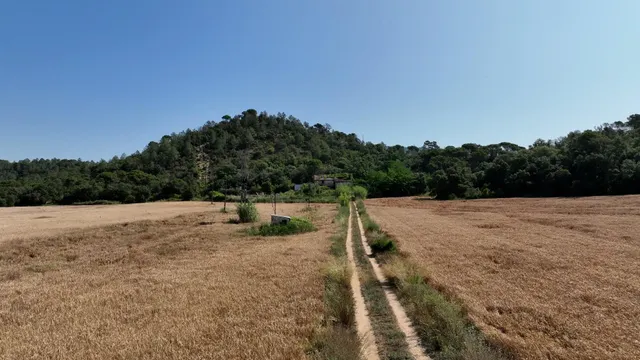 Masía histórica para rehabilitar con 19 hectáreas de terreno – Tossa de Mar — 28
