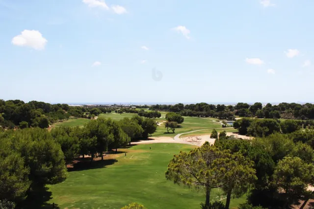 APARTAMENTOS EN PRIMERA LÍNEA DE GOLF EN PILAR DE LA HORADADA — 13