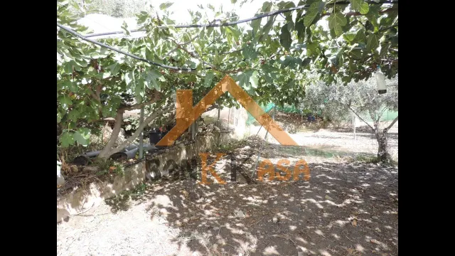 SE VENDE CASA CON TERRENO EN CHERÍN (UGÍJAR) PROVINCIA DE GRANADA — 45