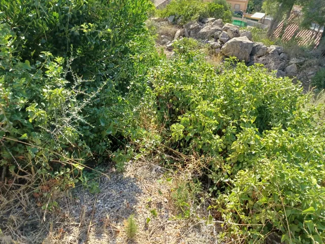 CASTELLET I LA GORNAL PARCELA DE 573 M2. EN VENTA — 15
