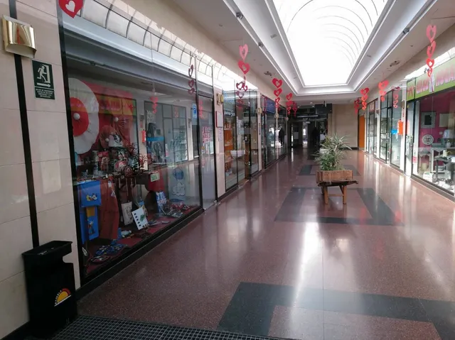 LOCAL COMERCIAL EN GALERIAS RAMBLA CENTRO — 6