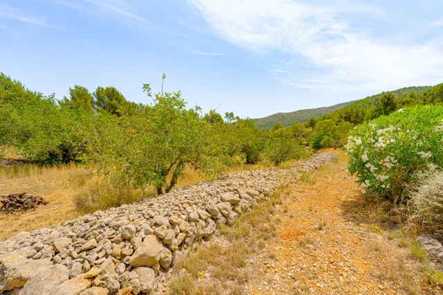 Villa rural en venta en Lliber — 37
