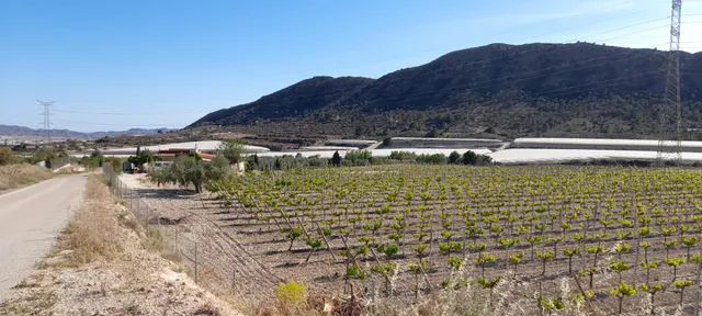 PARCELA 30.000 METROS DE TERRENO — 31