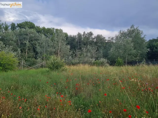 SE VENDE TERRENOS RUSTICOS EN TUDELA DE DUERO - foto 3