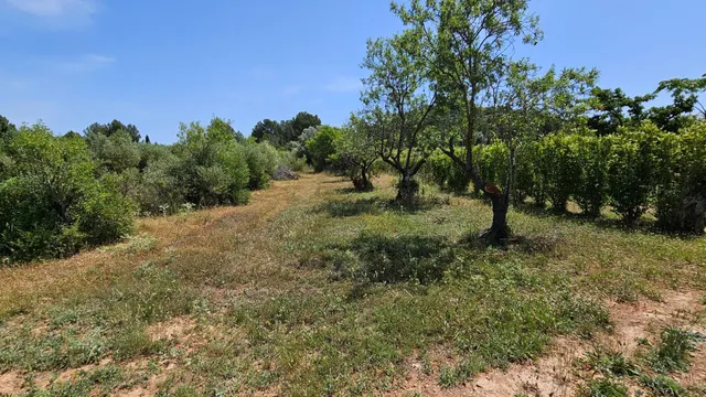 VENTA DE 3 PARCELAS AGRUPADAS CON POSIBILIDAD DE CONSTRUIR UNA VIVIENDA UNIFAMILIAR !! — 5
