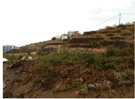Terreno urbano en venta en El Toscal (Los Realejos) - foto 2