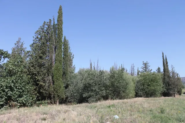 Terreno Industrial en Olesa de Montserrat en Venta o Alquiler — 17