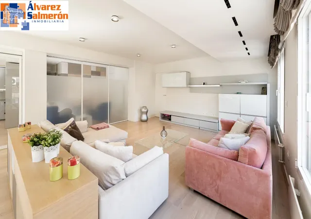 Exclusiva vivienda con vistas al Palacio de los Patos, junto Recogidas, 4 dormitorios 3 baños — 7