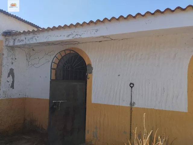 Campito en el pago del humo ideal para caballos — 7