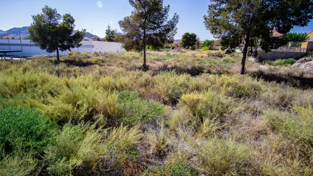 Parcela de terreno Urbano en zona av. Mediterráneo de Petrer — 5