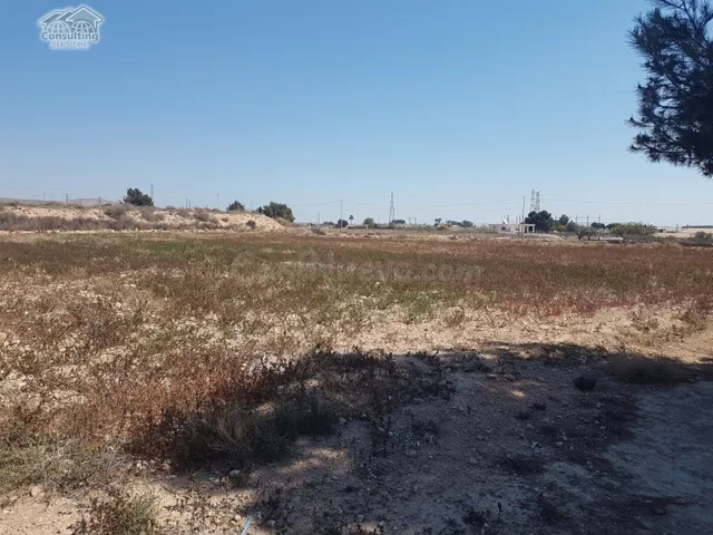 Terreno 10.000 m2 frente Parque Industrial Elche Torrellano - foto 3