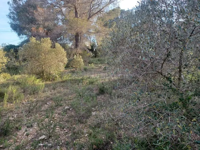 Terreno en venta en Vallmoll - foto 2