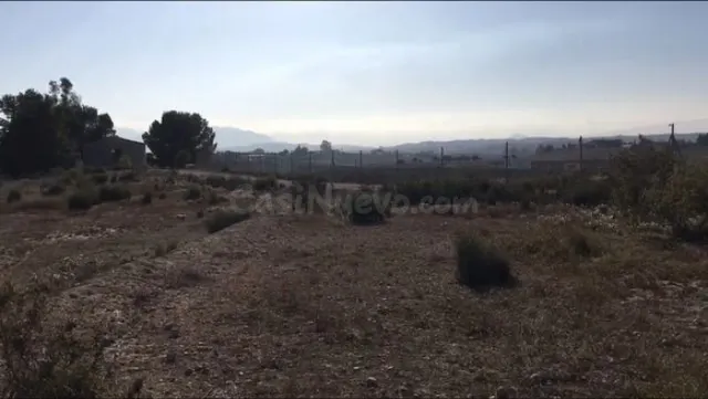 Terreno industrial 50m² en venta - Los Valientes - foto 4