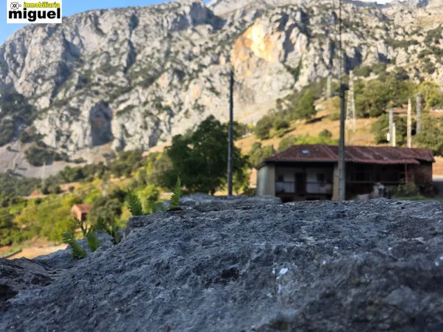 Oportunidad de Inversión en Peñarrubia - Picos de Europa — 32