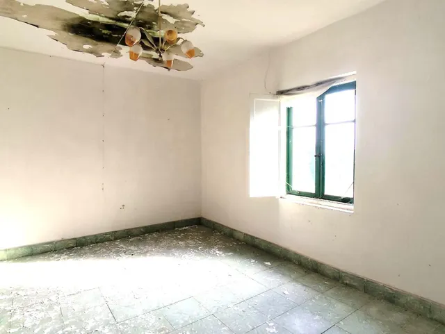 Casa independiente con parcela — 13