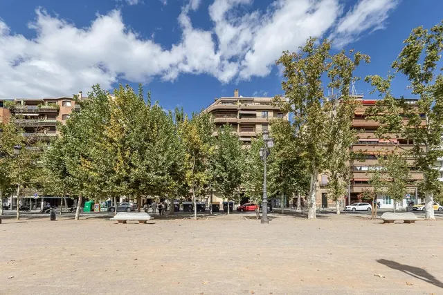 Pisazo en paseo del salón - Granada — 46