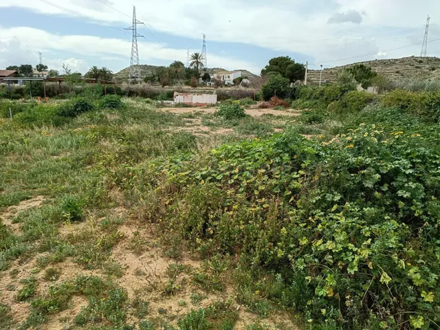 TERRENO RURAL EN SANTA ANA CON AGUA POTABLE. - foto 3
