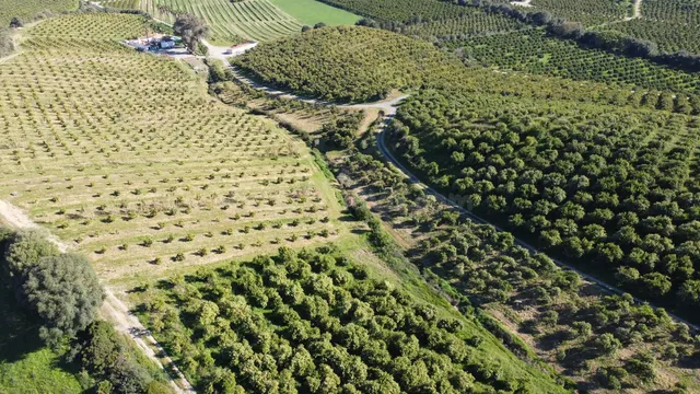 Parcela 667m² en venta - Costa Del Sol - foto 5