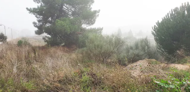 Urbis te ofrece unas parcelas en venta en Boecillo, Valladolid. — 10