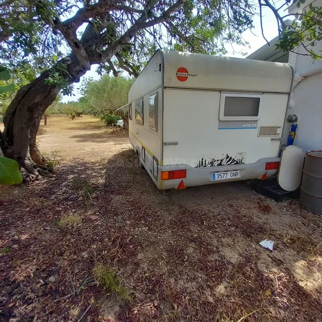 Finca rústica con casa de campo reformada, olivos, algarrobos y caravana, cerca de Tortosa — 8