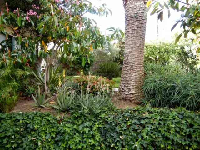 BUEN CHALET EN ZONA AVD DEL BRILLANTE, CORDOBA - foto 3