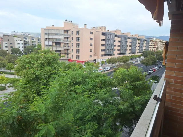 ALQUILER EN CAÑITO BAZAN — 6