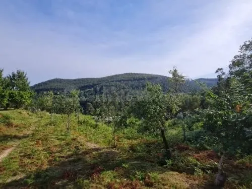 Terreno en venta en Pedreira - Santa Maria de Tebra, 13A, To - foto 4