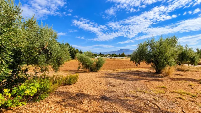 Parcela rústica de 4.824 m2 en Llanos de Moraleda, Moraleda de Zafayona — 42