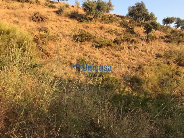 Terreno rústico de 3.000 metros en Zona entre Los Morales y  - foto 3