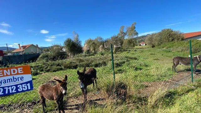SE VENDE TERRENO URBANIZABLE EN PIELAGOS, RENEDO — 7
