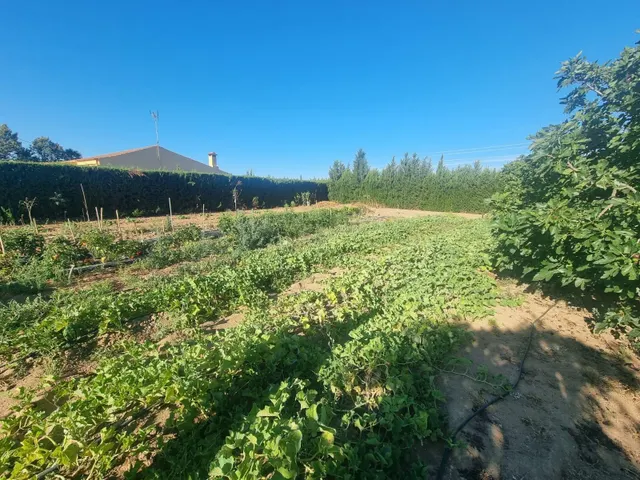 Finca rustica el pintado, Gibraleón — 46
