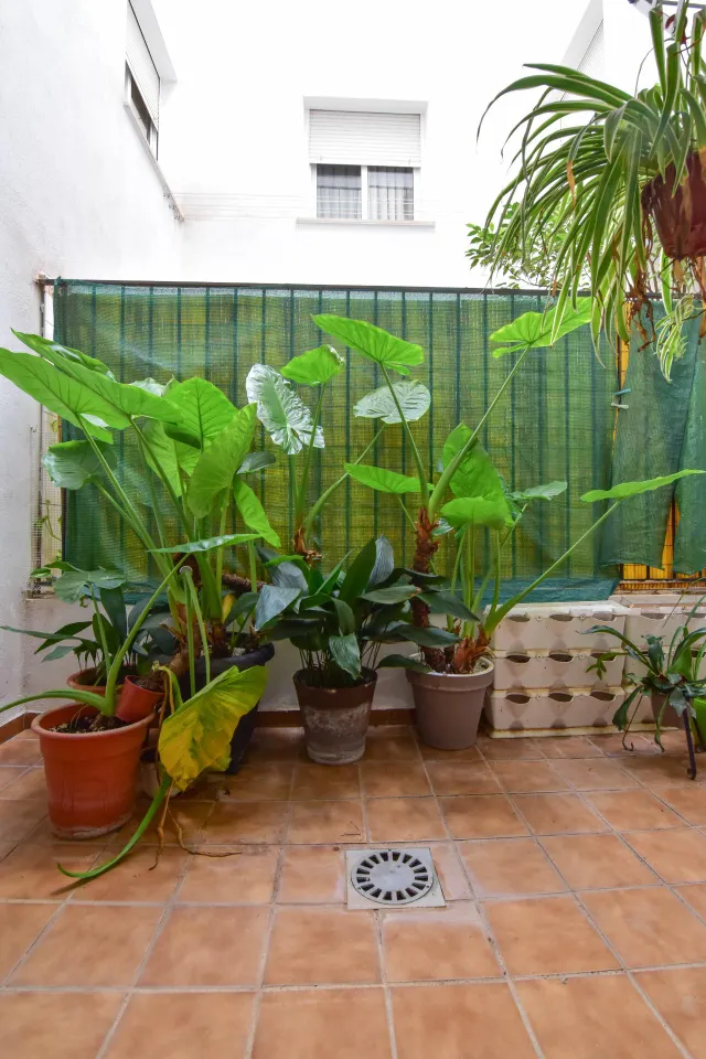 ¡Magnífica vivienda en una de las mejores zonas de Paiporta! — 25