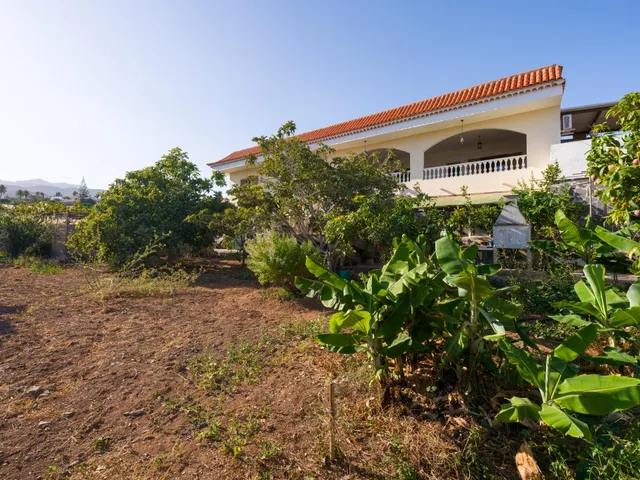 Finca rústica con amplia vivienda y azotea en Las Mejías – Ingenio, Gran Canaria — 30